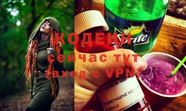 прущие грибы Новокубанск
