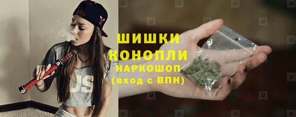 дживик Железногорск-Илимский