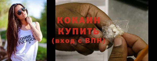 шишки Нея