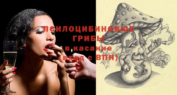 шишки Нея