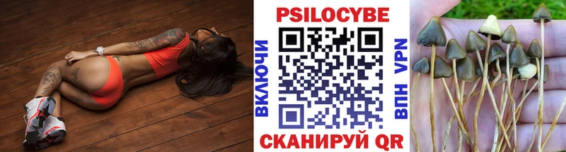 Псилоцибиновые грибы прущие грибы  Новоаннинский 